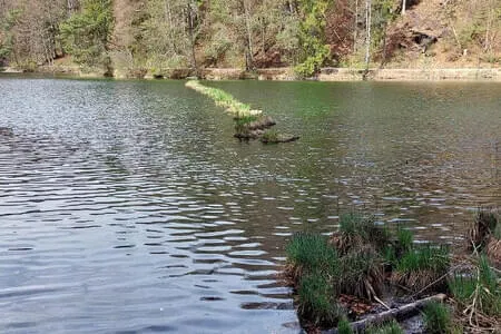 Wanderung Längs-Hechtsee OG. Going 15.4.25 Bild 15